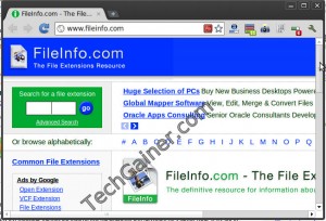 FileInfo.com ScreenShot