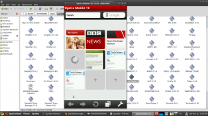 Opera Mobile Just executed on mu linux system