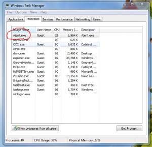 agent.exe is running and visible in process tab