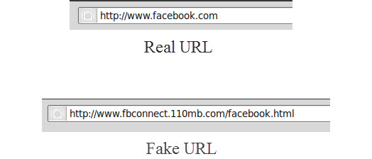 Real vs Fake URL