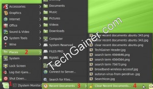 clear recent history from ubuntu/linux mint
