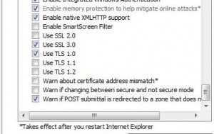 SSL settings in IE