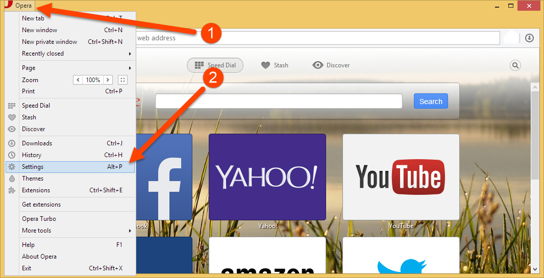 Access Opera Settings