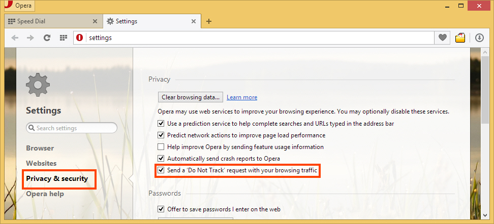 Enable DNT on Opera