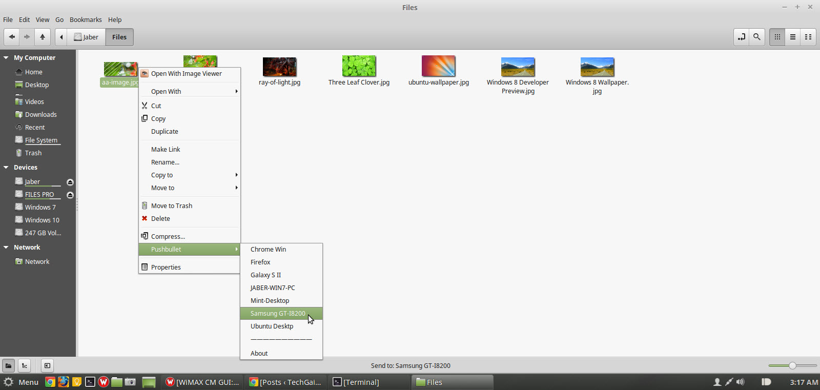 Send files from Linux Mint Nemo